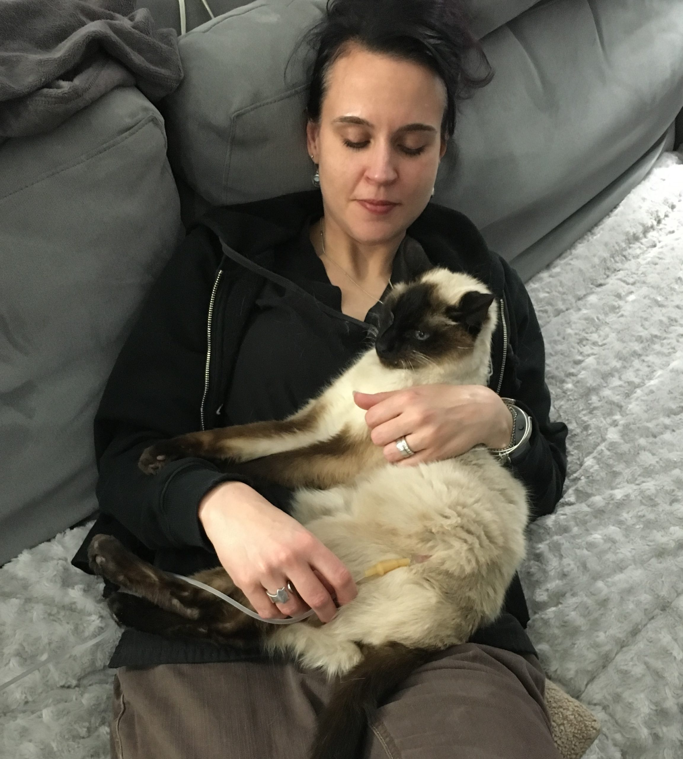 Ingrid cradling her cat Simon while administering SQ fluids (he's purring).