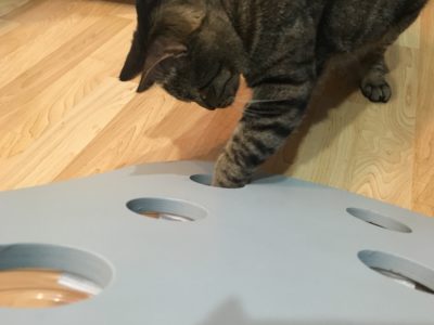 IKEA hack-DIY Food Puzzle for Cats! - Fundamentally Feline