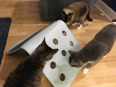 IKEA hack-DIY Food Puzzle for Cats! - Fundamentally Feline