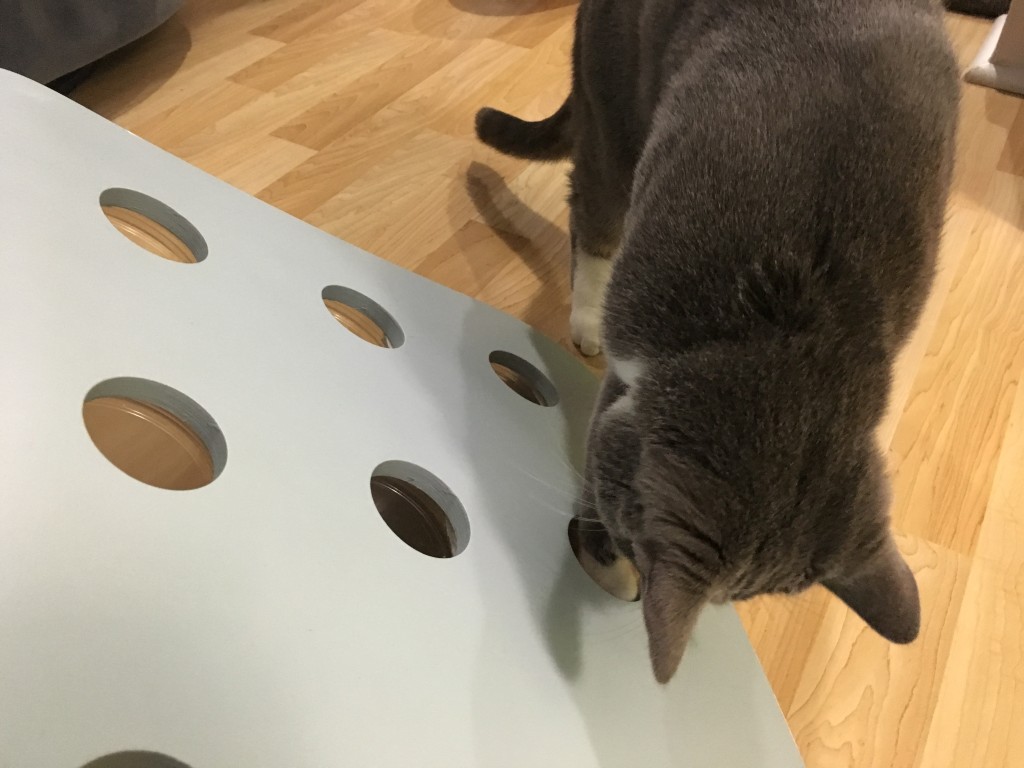 IKEA hackDIY Food Puzzle for Cats! Fundamentally Feline