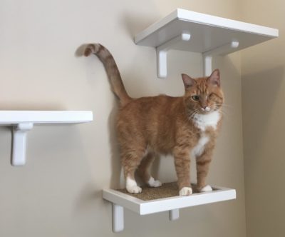 Sisal Cat Perch 12" (more of a step!)