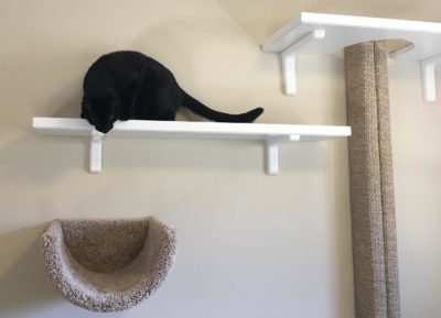 Wall Mounted Scooped Beds/Cat Floor Rocker - Image 10