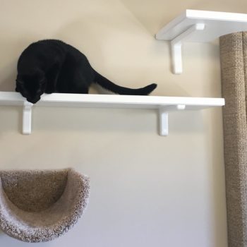 Sisal Cat Run 24"