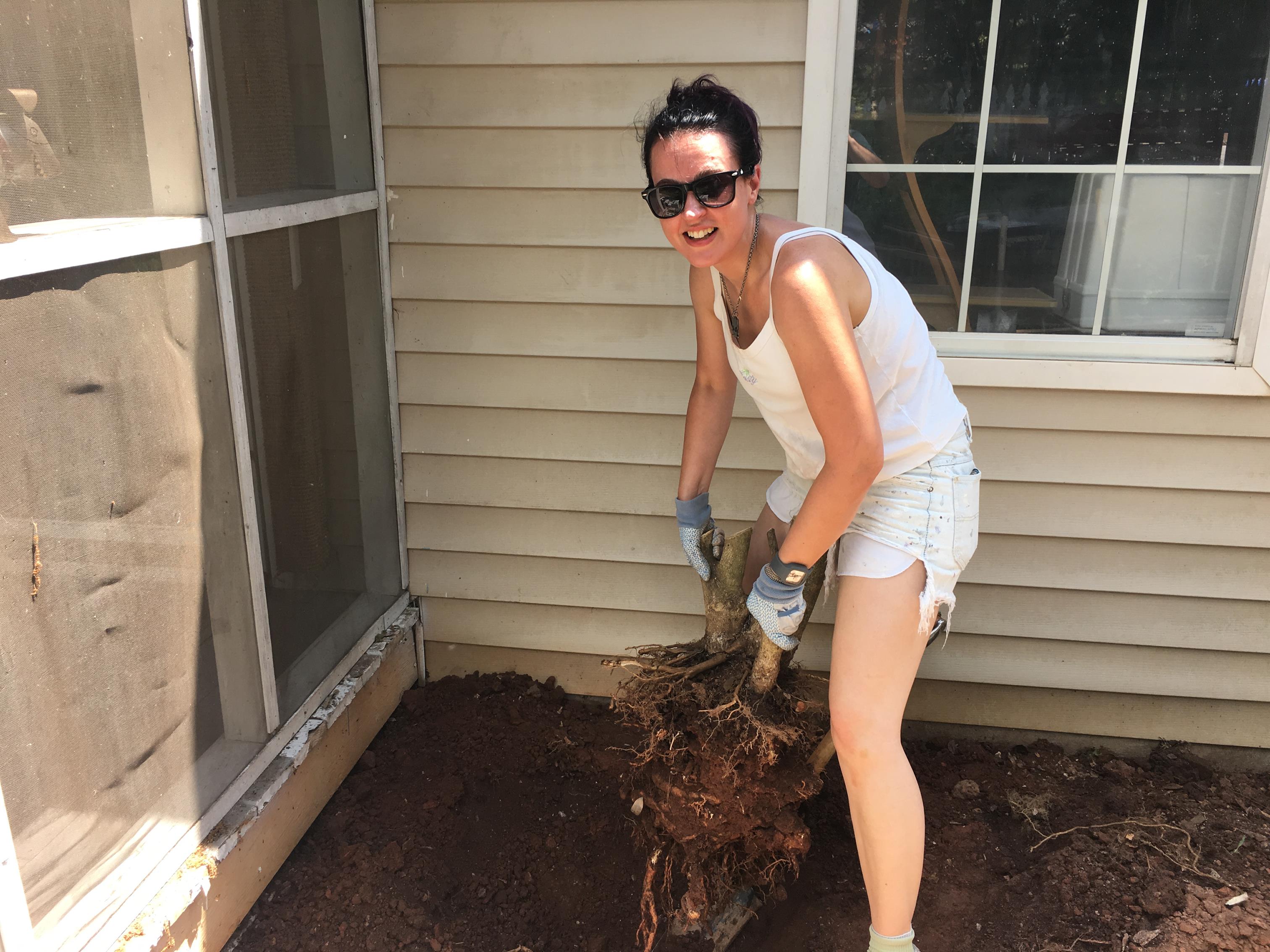 Removing root ball so we can lay the foundation.  