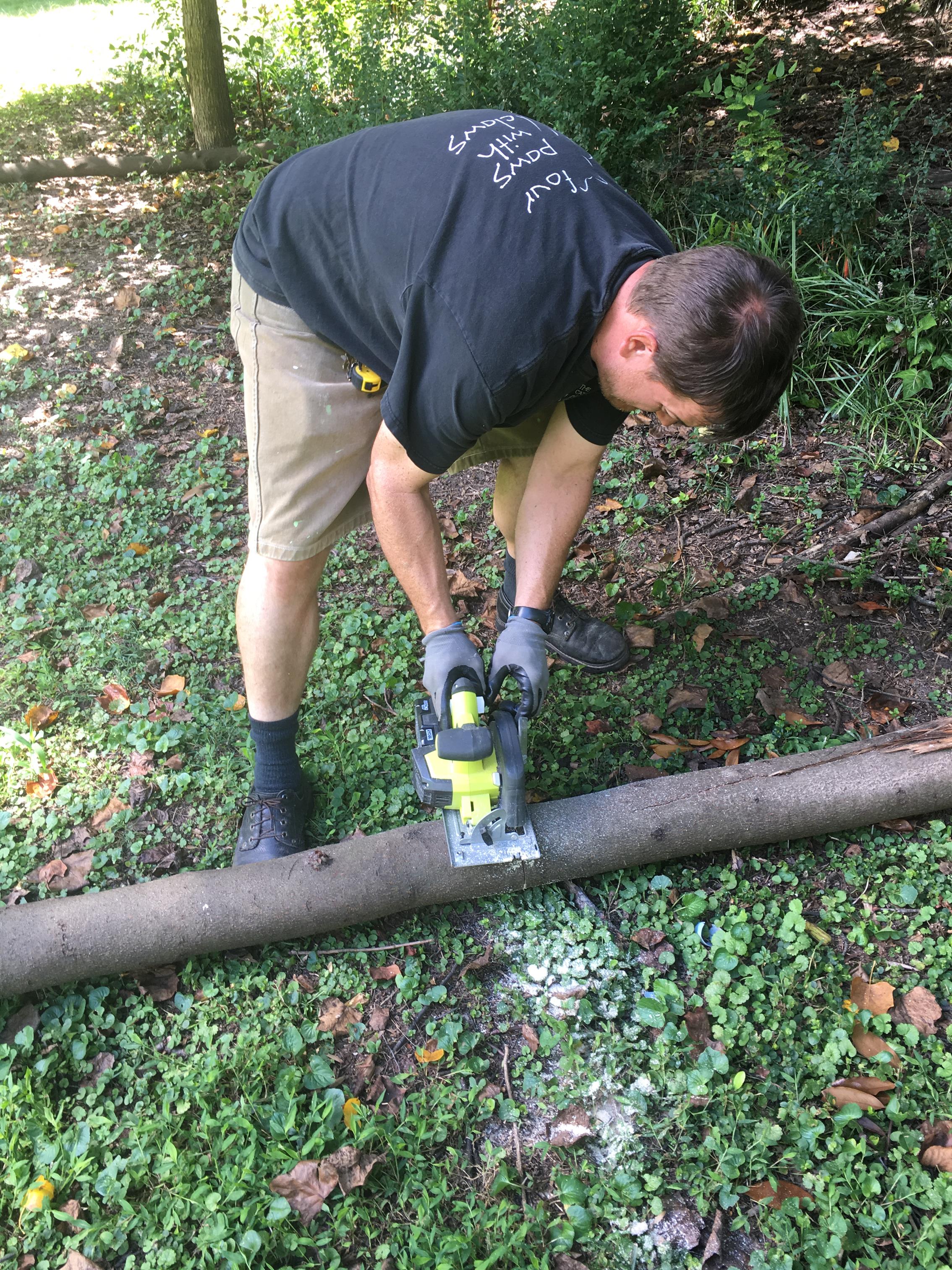 Jake, live action log foraging post storm!