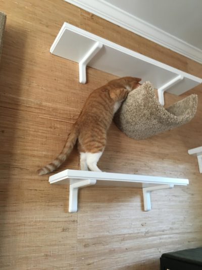 Sisal Cat Run 18" - Image 9