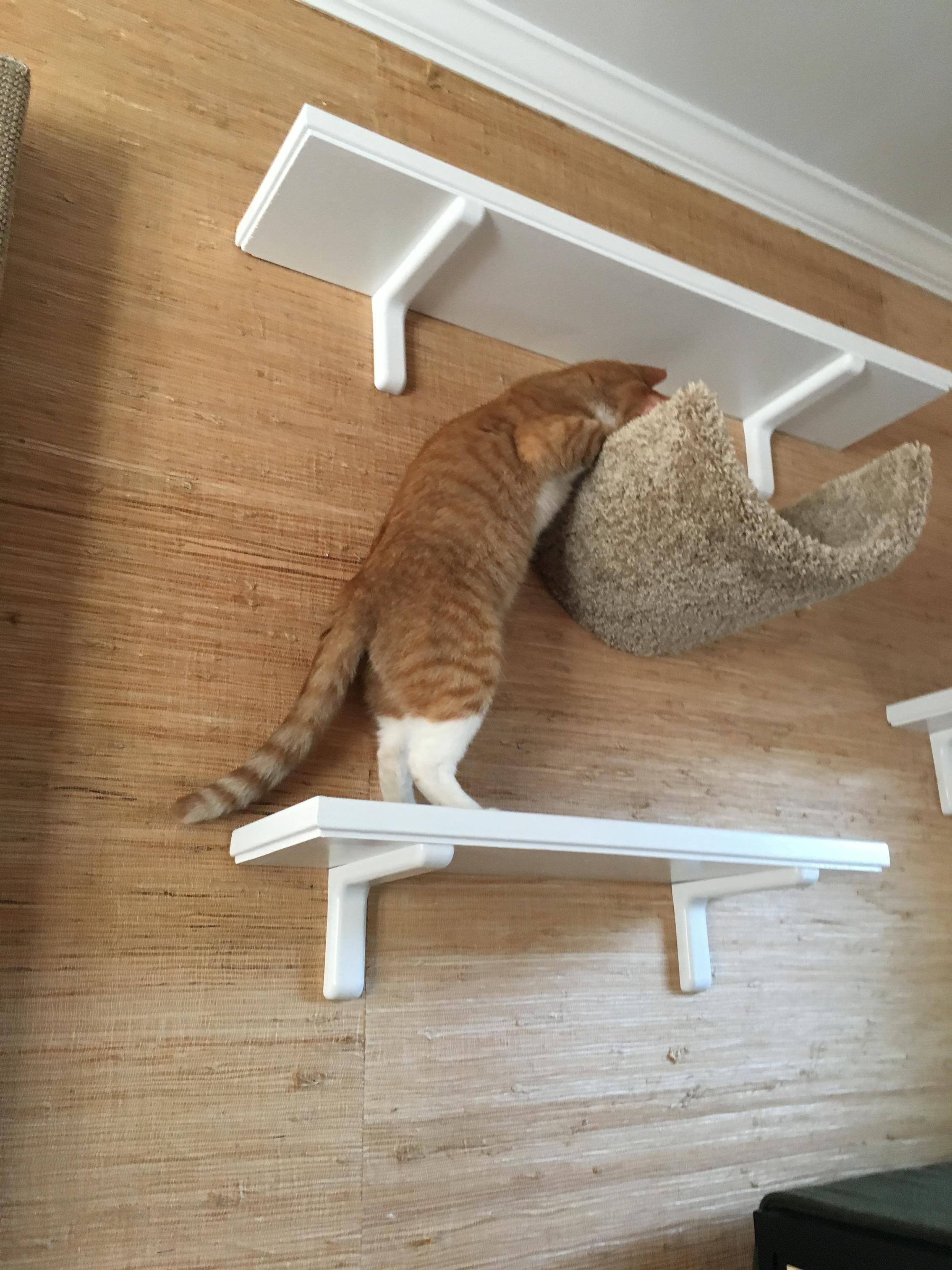 "Hmm. What is up here?" "Hmm. What is up here?"