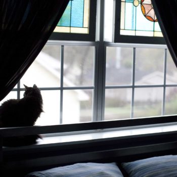 In-Home Behavior Consultation