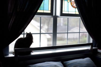 In-Home Behavior Consultation