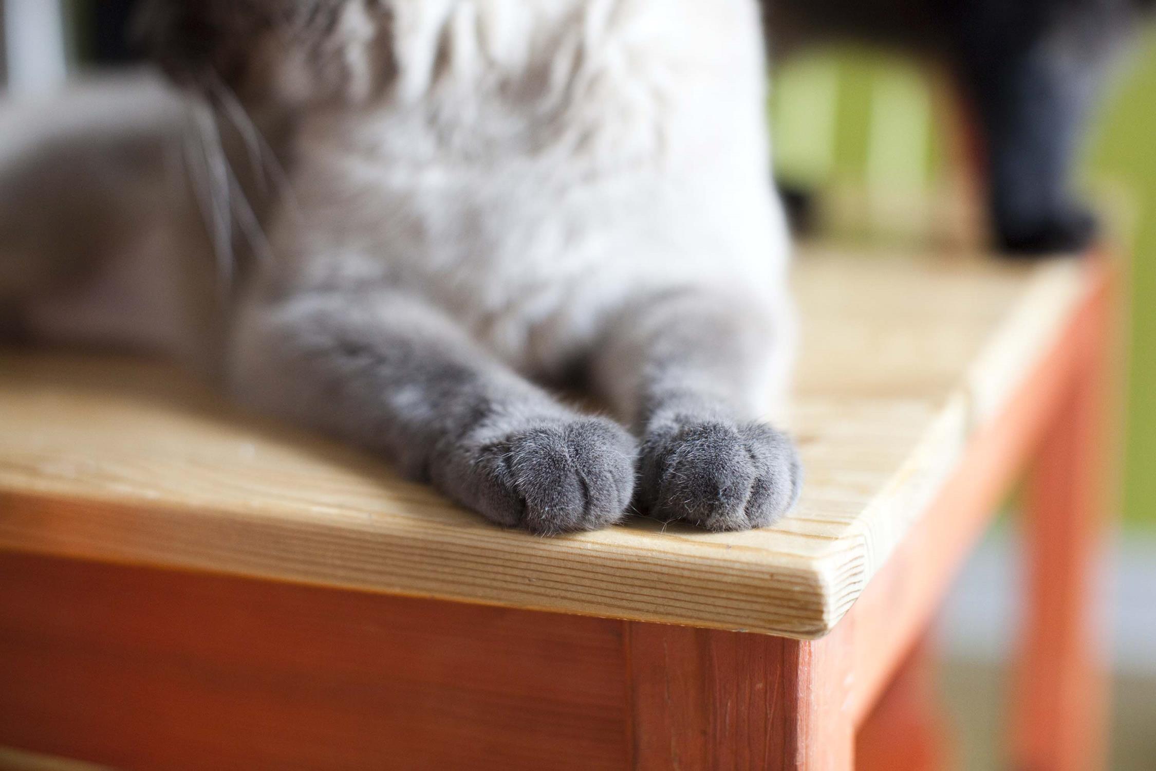 Look at those tootsies!