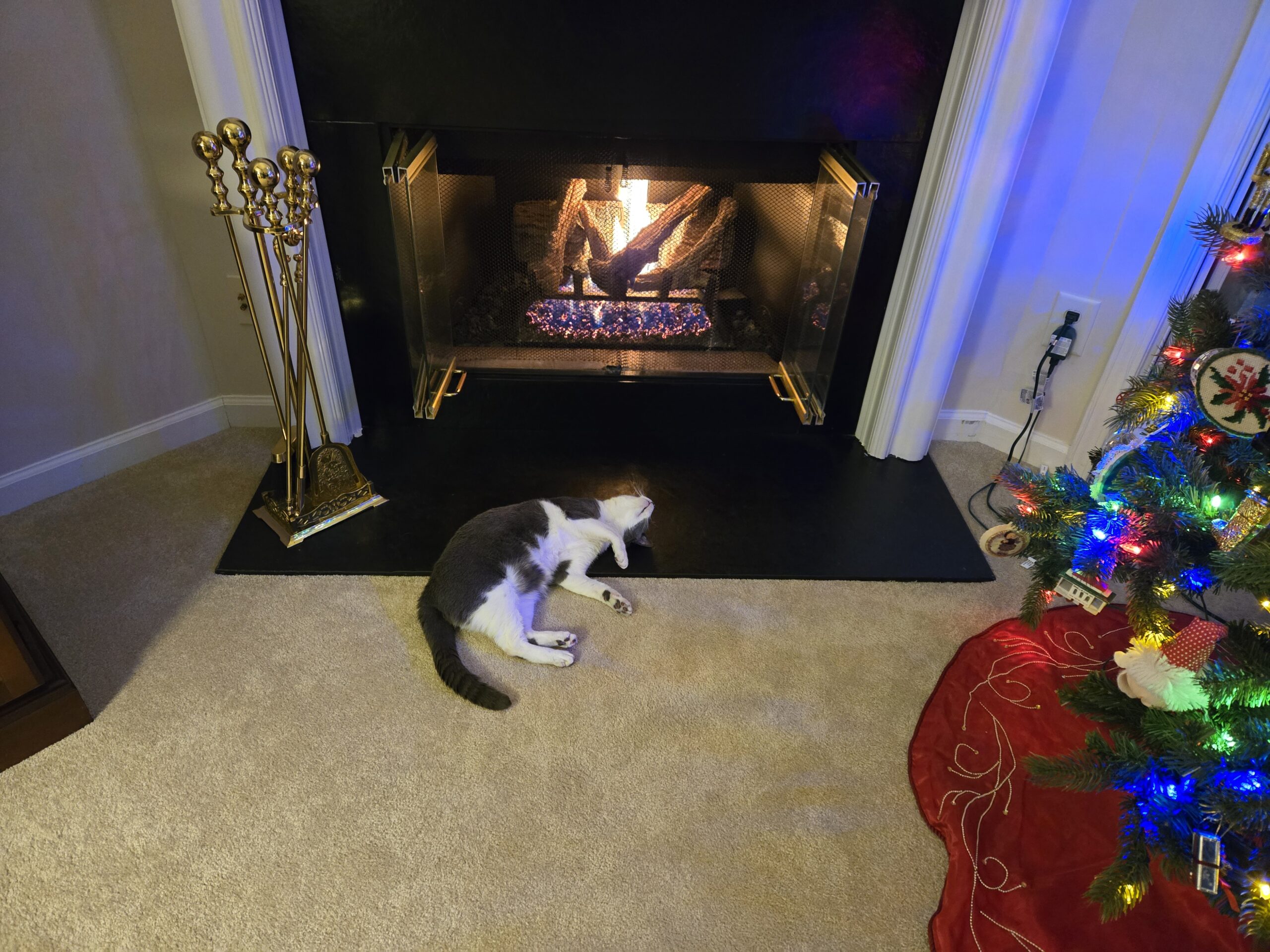 Nevi, chillin' by the fire. 