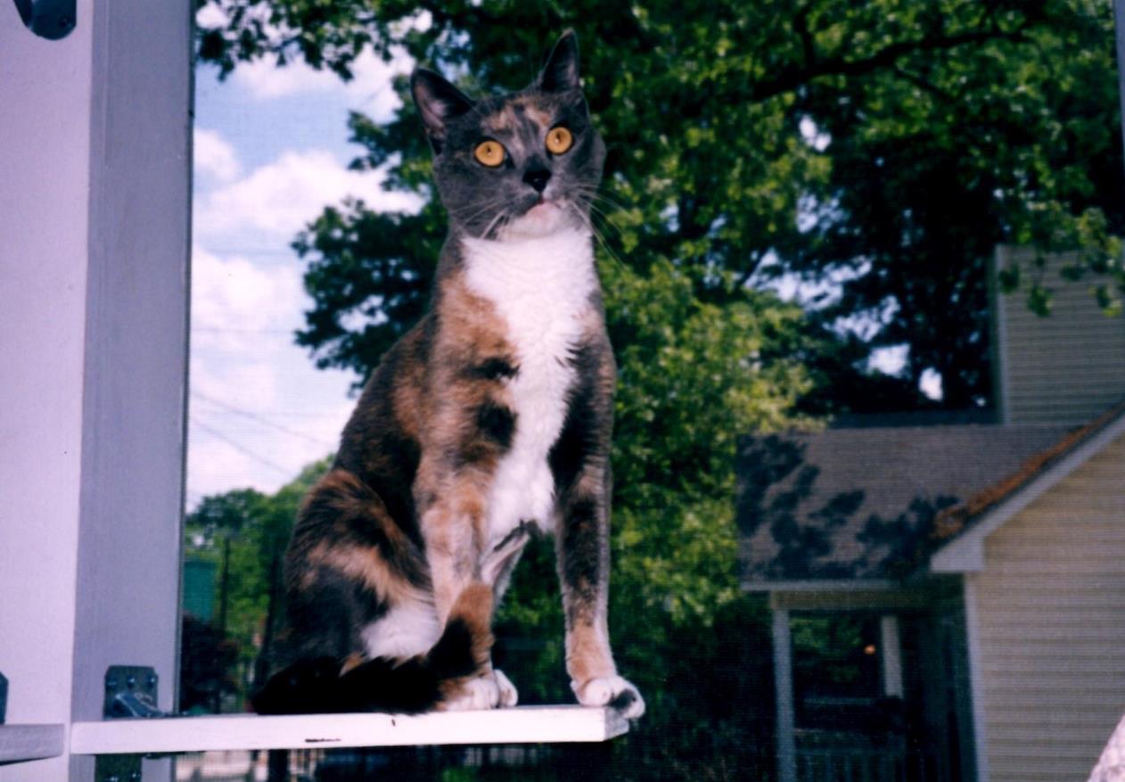 She loved our screened porch. 