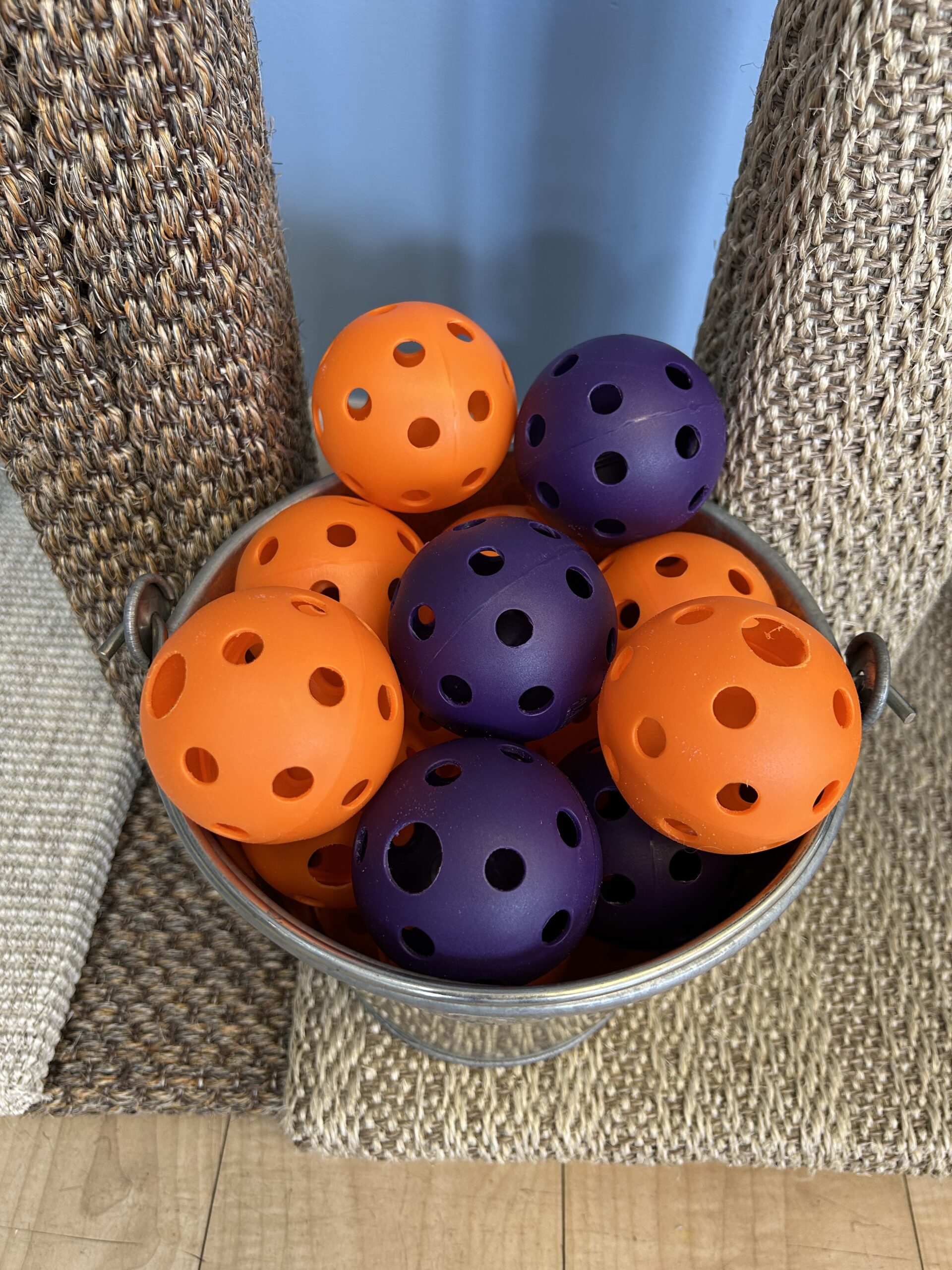 Foraging Ball - Image 12