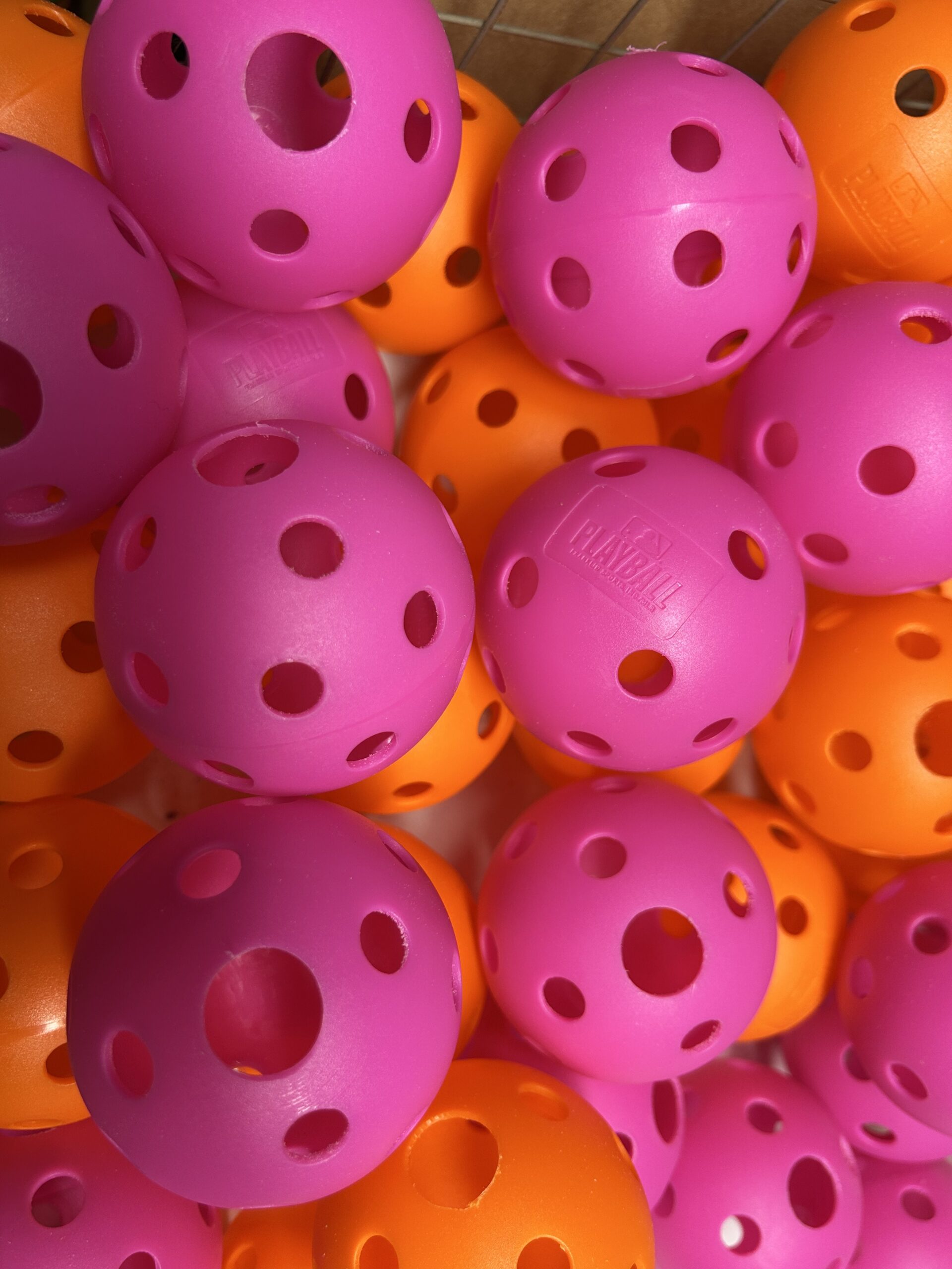 Foraging Ball - Image 10