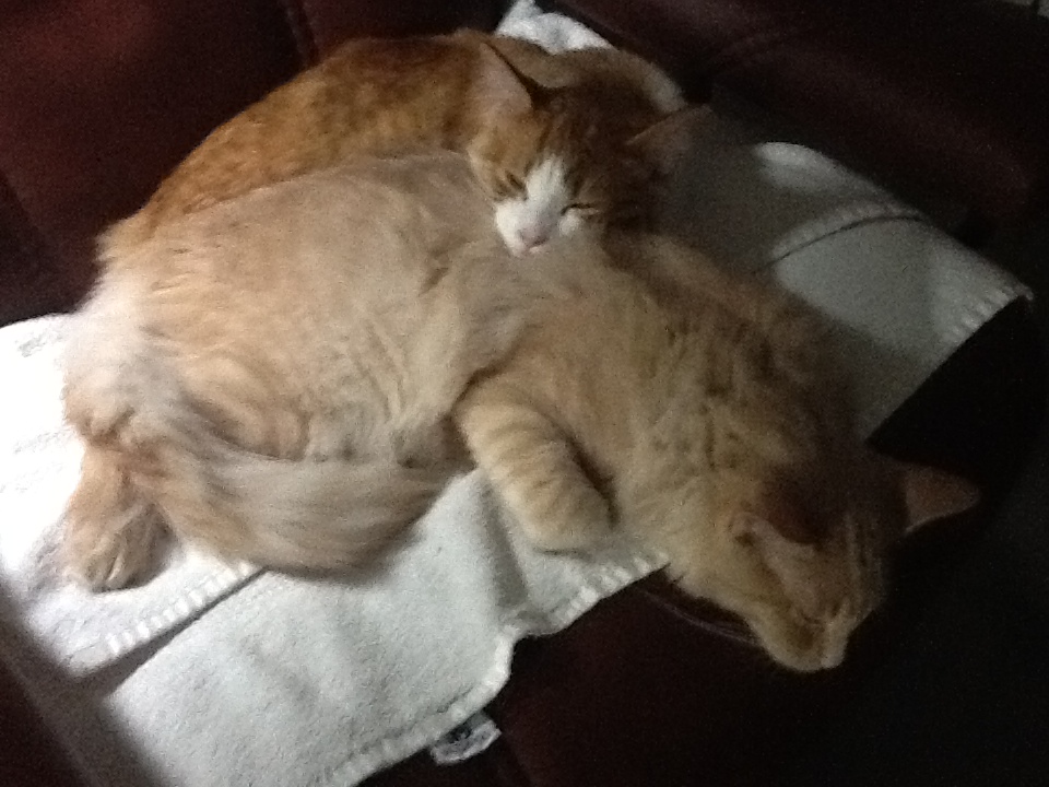 Pete and Maggie Frisbie 1 Pete and Maggie cuddling.