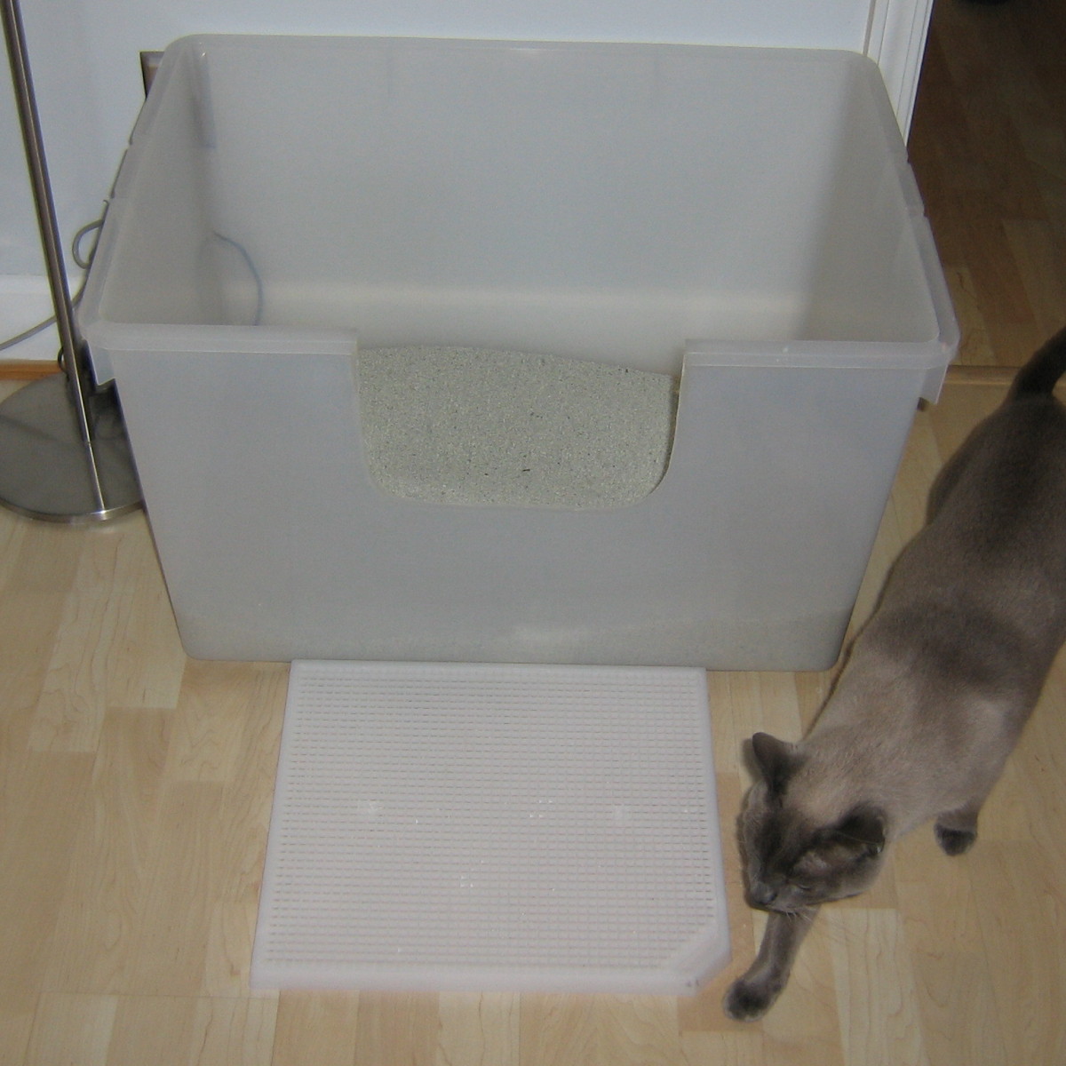 urinating outside the litter box Archives Fundamentally Feline