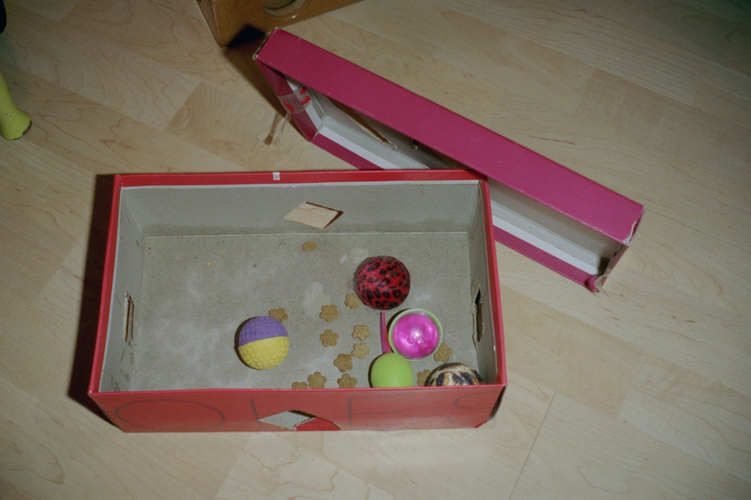 An old shoe box makes a great food puzzle!