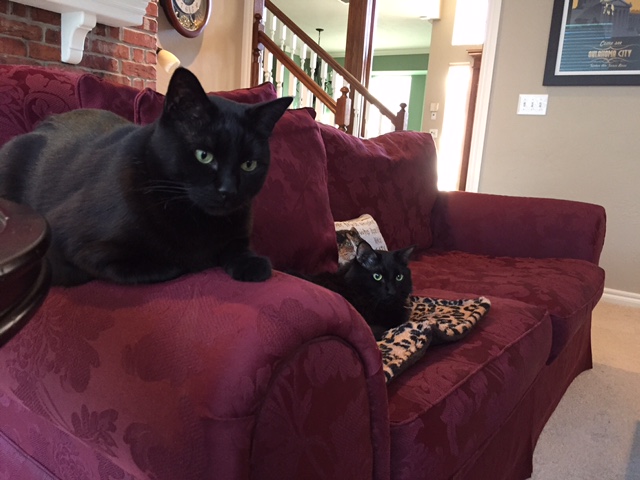 Rudy and Mickey Alvarez Rudy and Mickey getting along again!