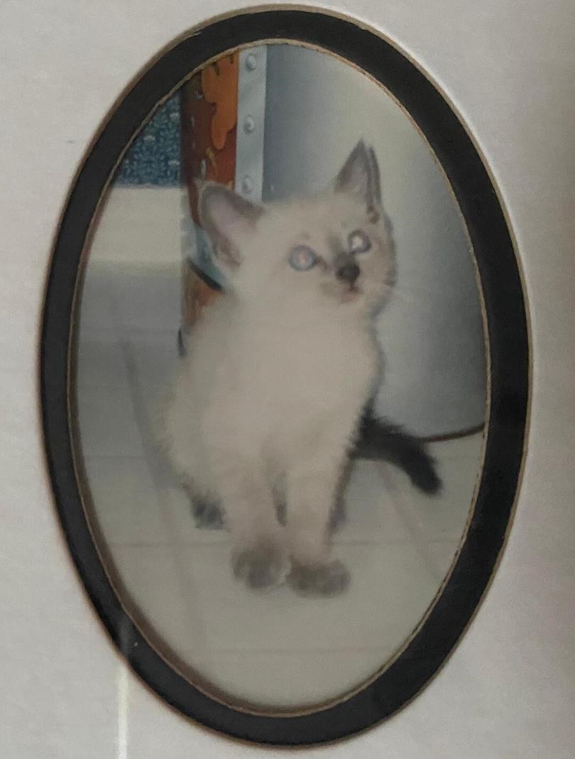 Shadow_s-baby-pic-Copy-_2_ (Copy) Squee, OMG!