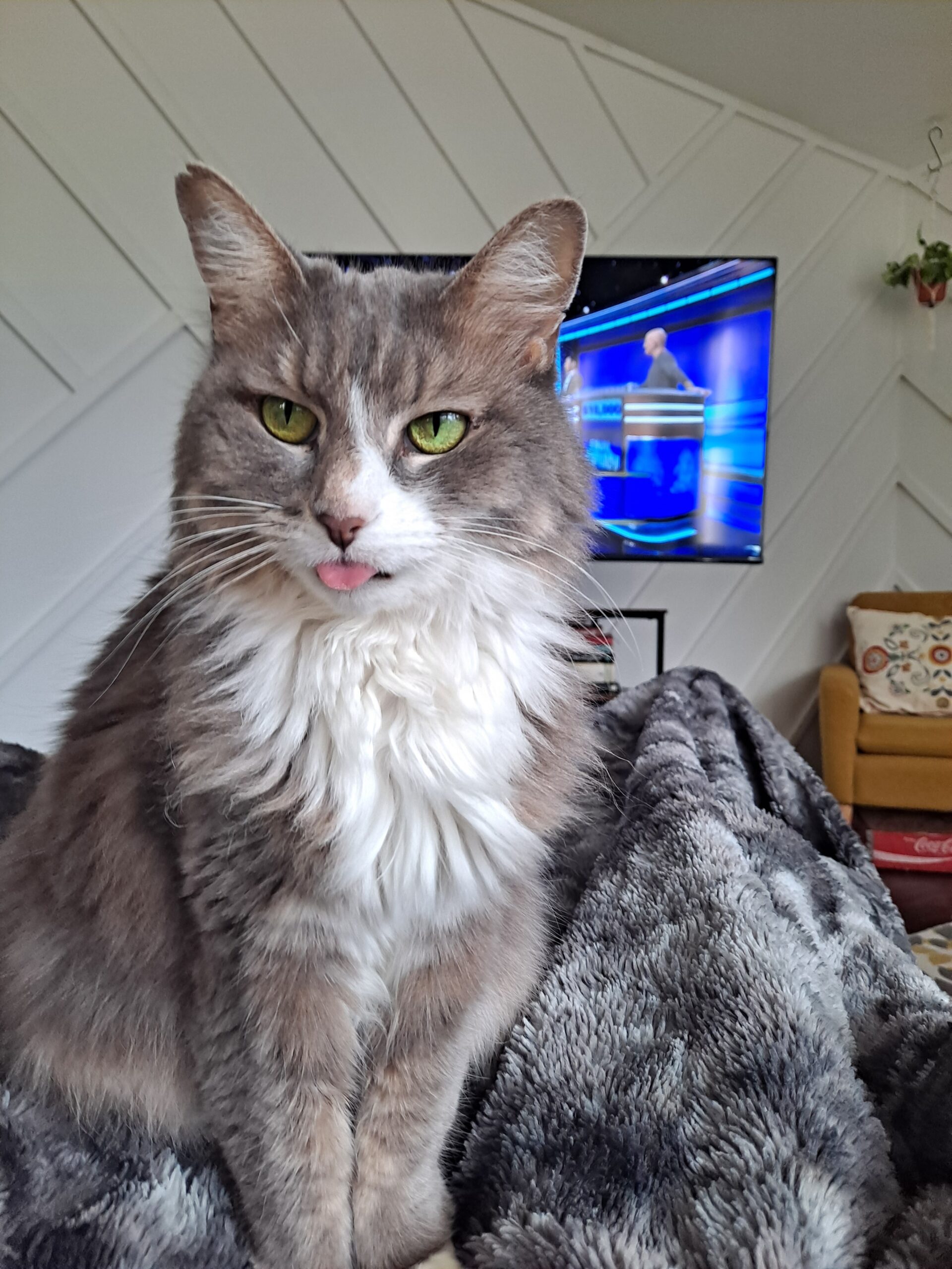 Blepping!! 