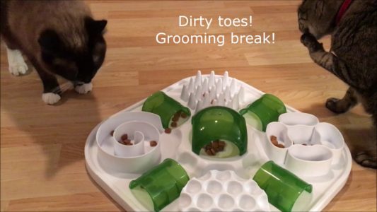 The Catit Treat Maze - Food Puzzles for Cats