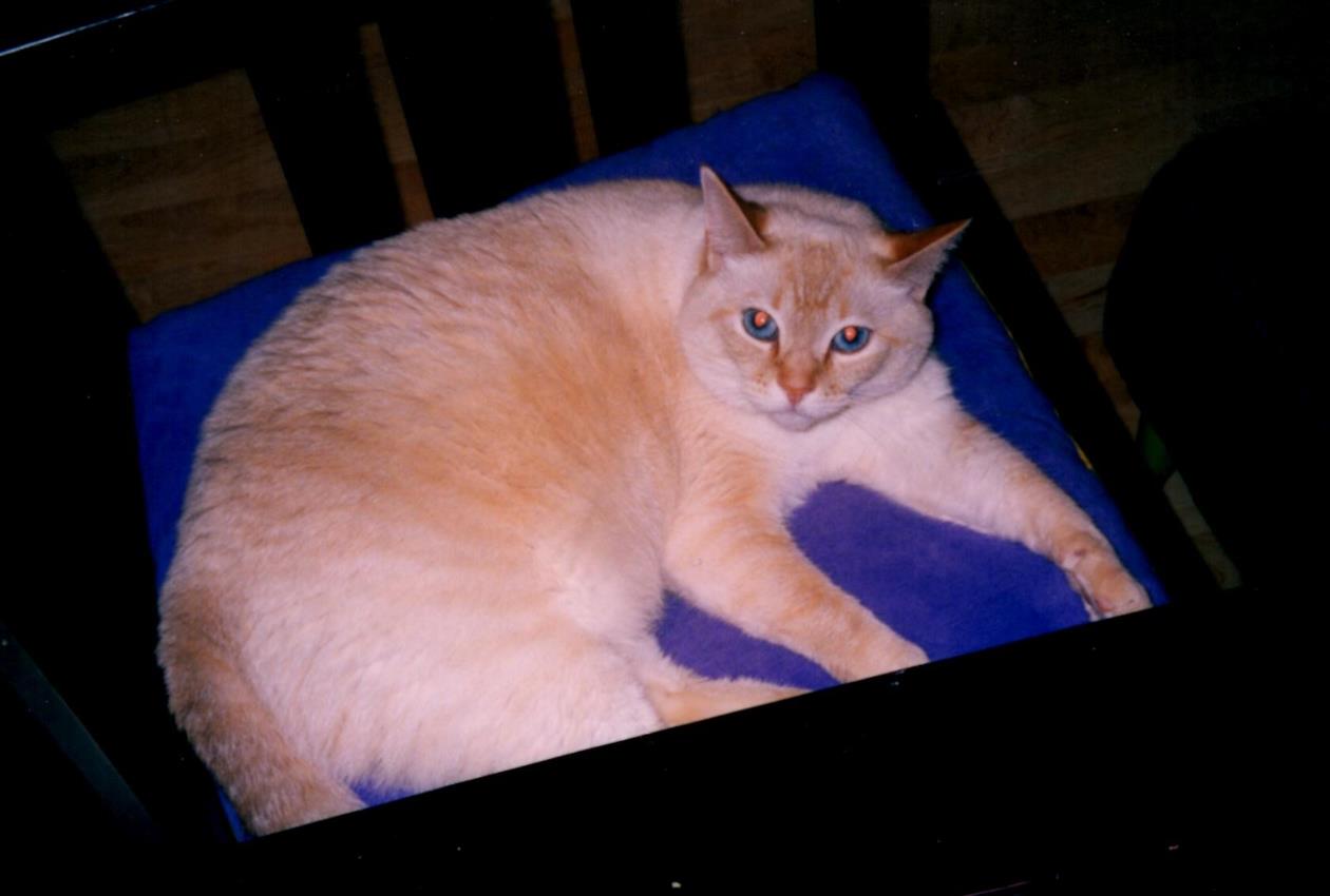 Wallace on rocking chair (Copy) Mr. Wallace