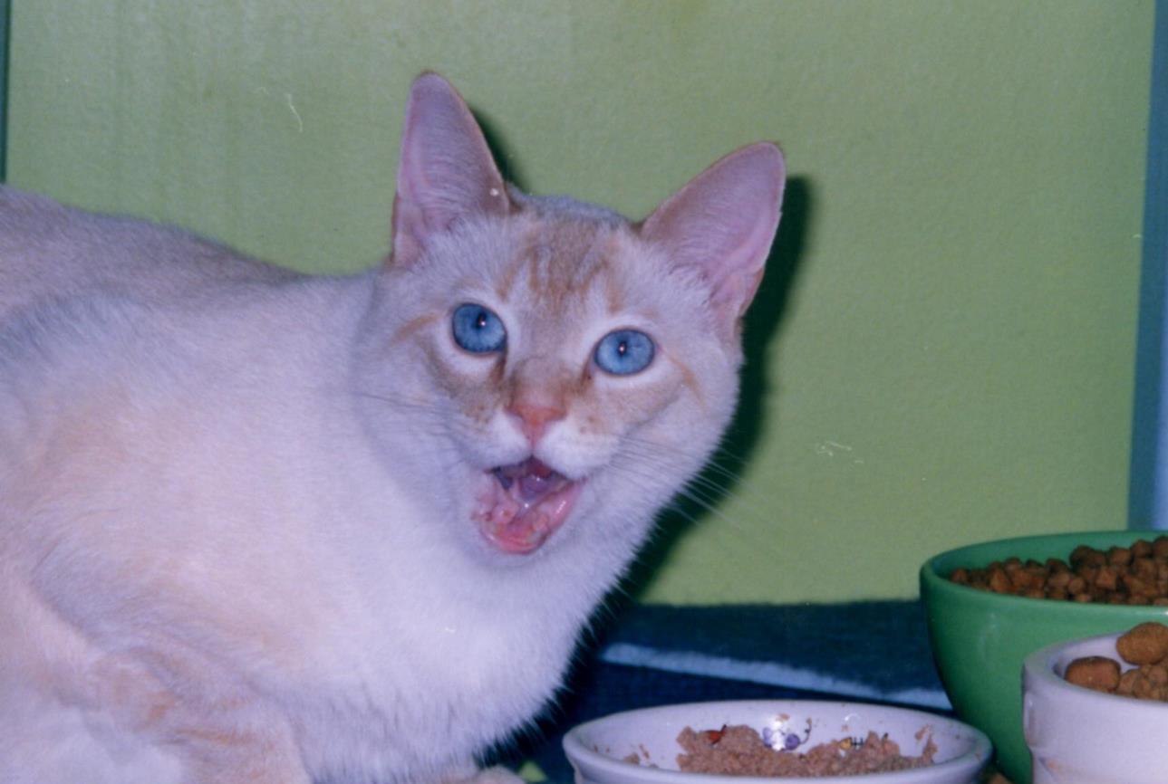 Wally lip licking 2002 (Copy) Lip Lickin' good!