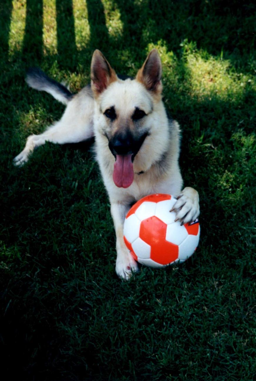 Yukon orange soccer ball 7-2002-1 (Copy)