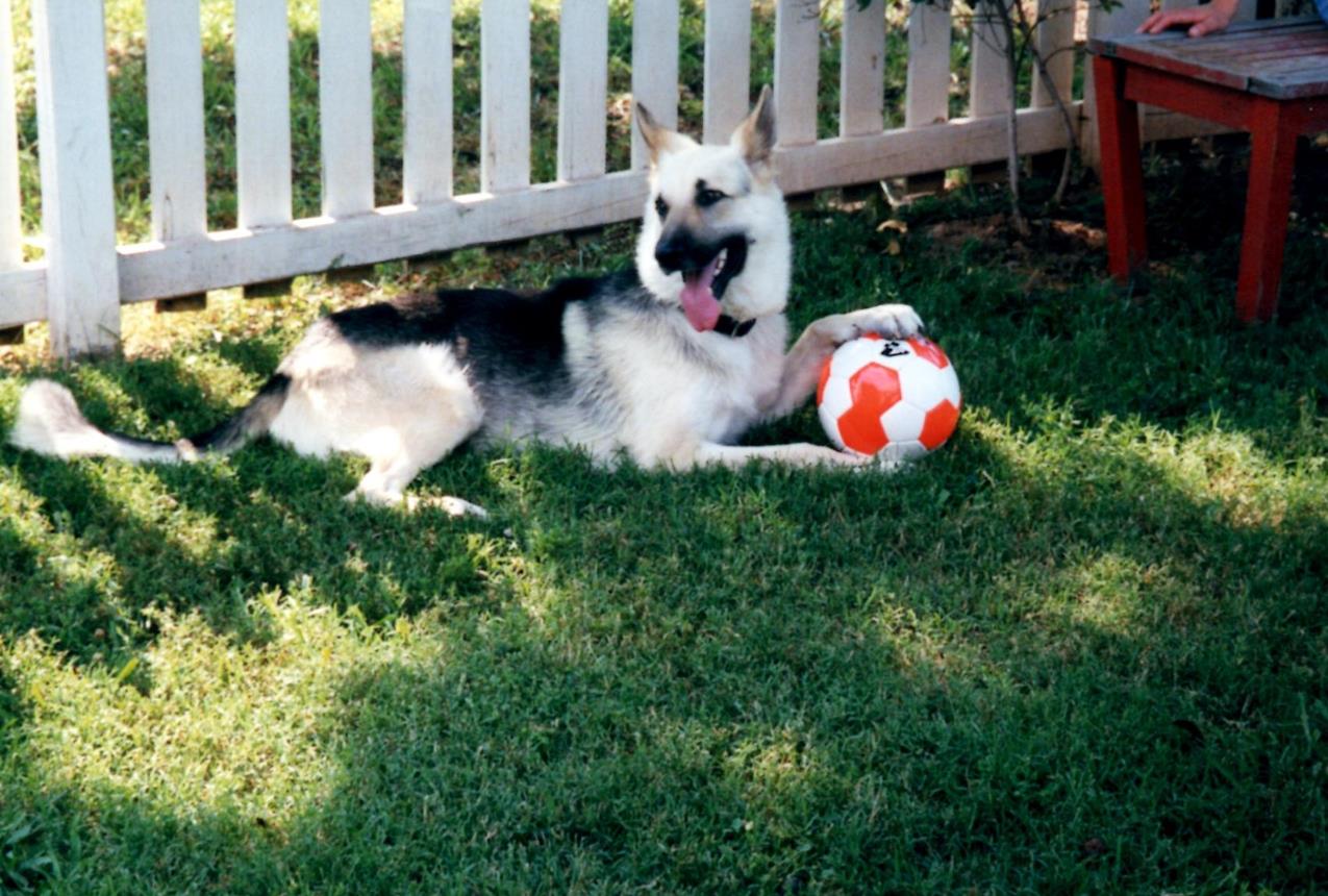 Yukon orange soccer ball 7-2002 (Copy)