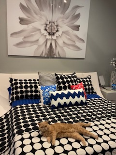 Griffin hanging on the bed.