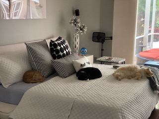 All THREE boys sharing the bed! Success!