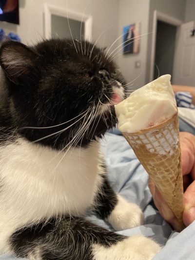 Zynis - Gracy Gracy having a special treat!