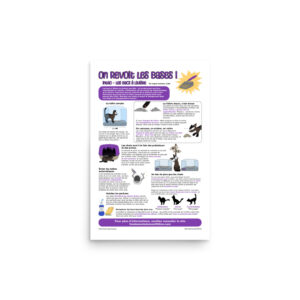 Get the Scoop! Litter Boxes 101-Infographic FRENCH (12"x18")