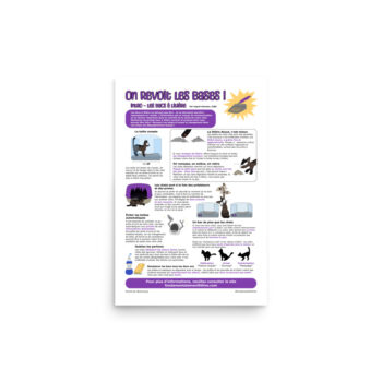 Get the Scoop! Litter Boxes 101-Infographic FRENCH (12"x18")