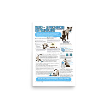 Foraging 101 Infographic FRENCH (12"x18")