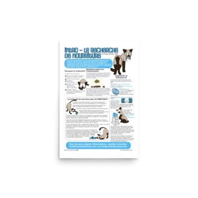 Foraging 101 Infographic FRENCH (12"x18")
