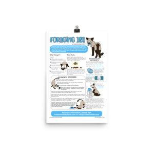 Foraging 101 Infographic (12"x18")