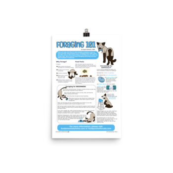 Foraging 101 Infographic (12"x18")