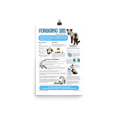 Foraging 101 Infographic (12"x18")