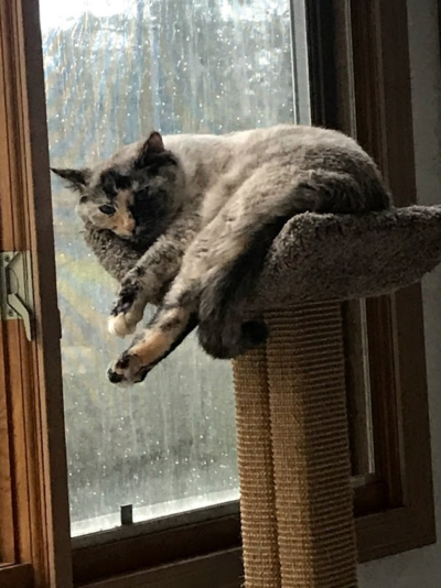 Scratching Post with Scooped Bed - Image 13
