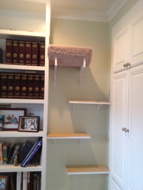 Sisaled steps going to top shelf of book case, so cats to run through to the sisal run above the window!