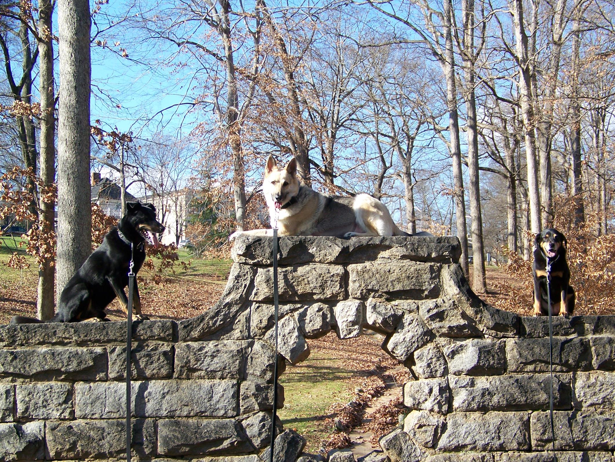 Passers by were in awe, we did these jumps on our daily walks!