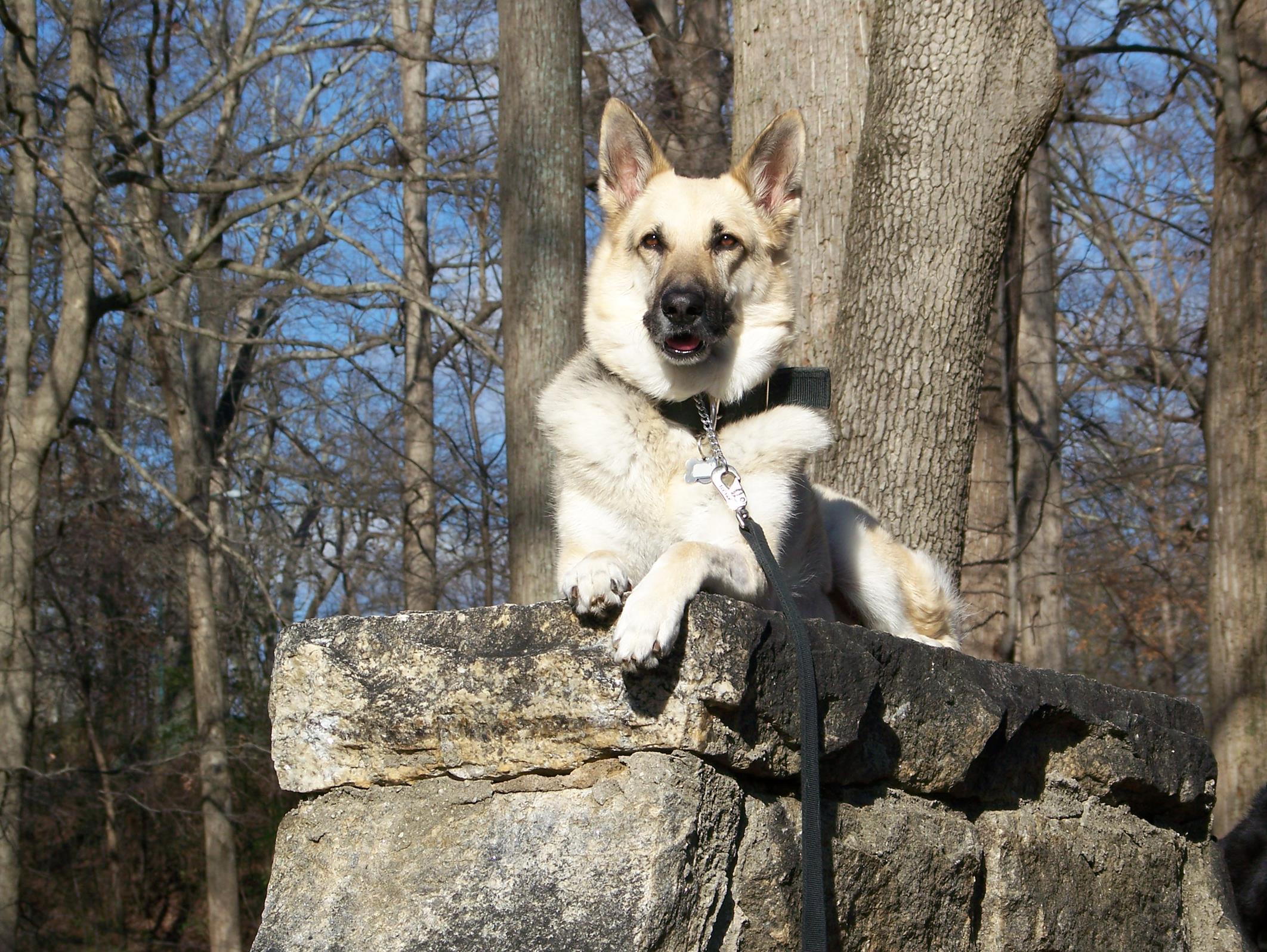 jake 158 (Copy) On top of the world!