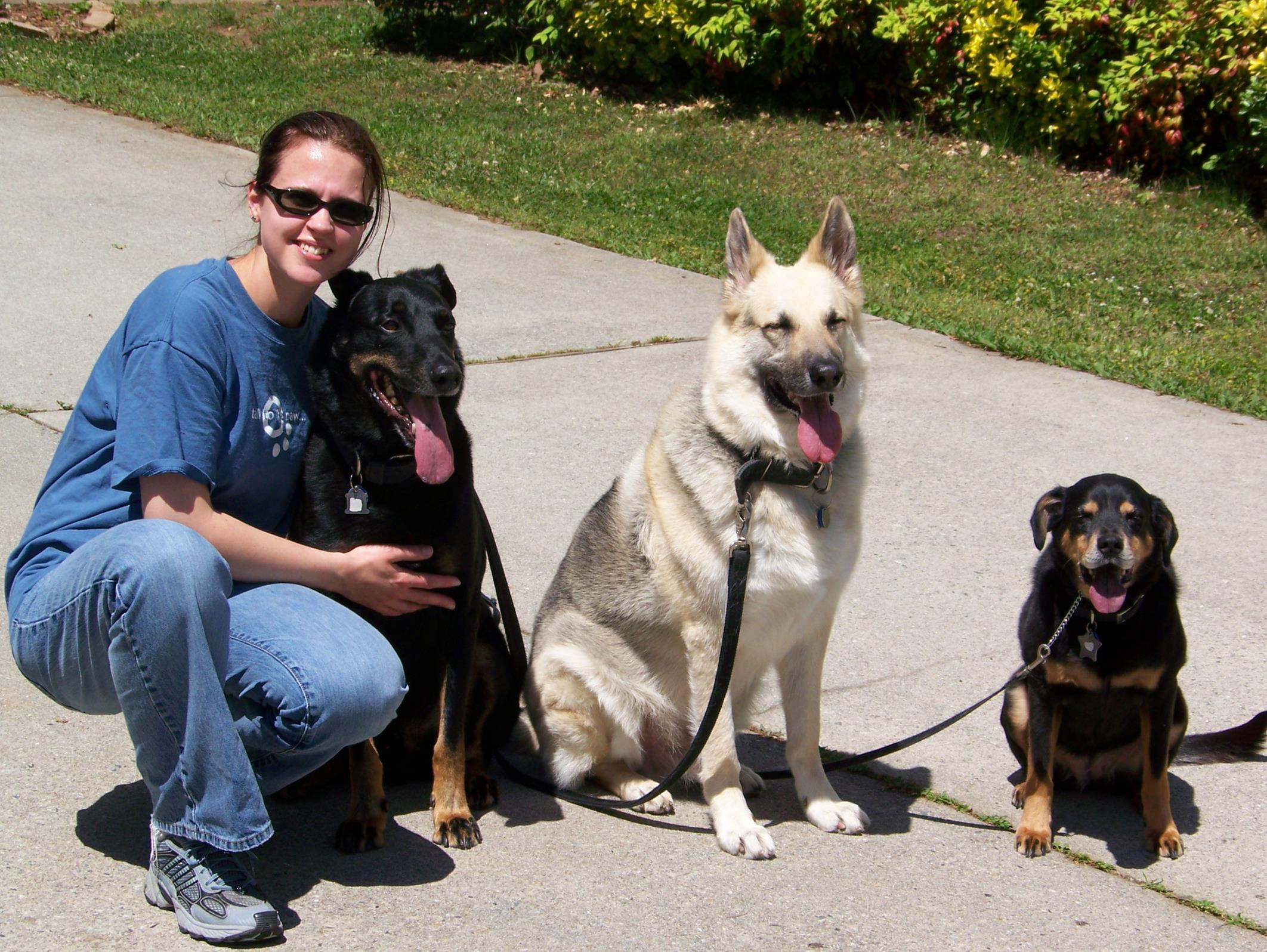 All three would heel on my left on walks.