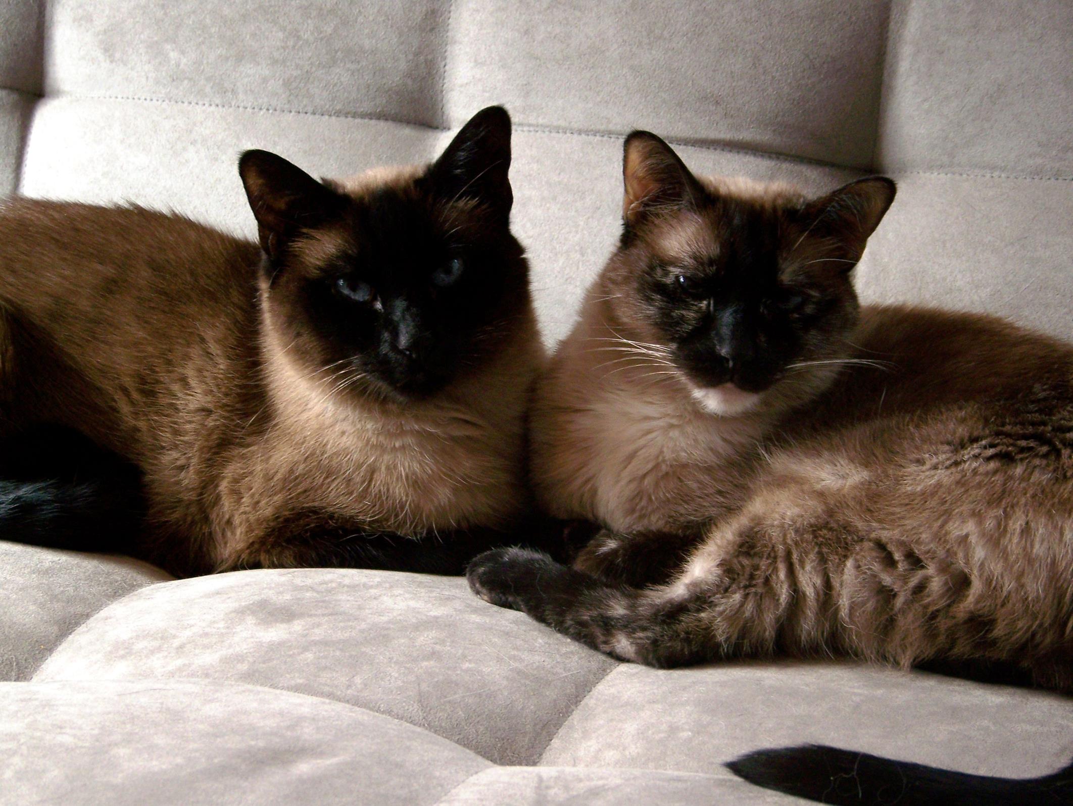 Simon and Mother. I just love this photo. 