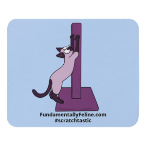 Scratchtastic Mouse Pad-Light Blue