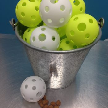 Foraging Wiffle Ball
