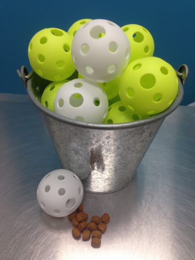 Foraging Wiffle Ball