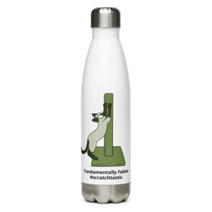 Scratchtastic Stainless Steel Water Bottle