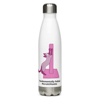Scratchtastic Stainless Steel Water Bottle